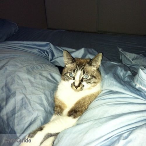 Pet Care Job Deborah C's Profile Picture