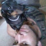 Searching for a Pet Carer Opportunity in West Hempstead