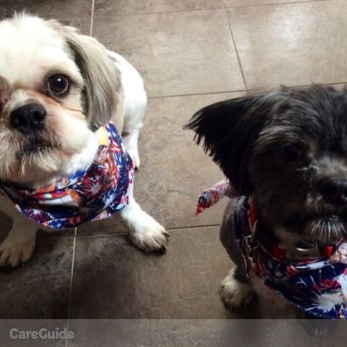 Pet Care Provider Guy P's Profile Picture