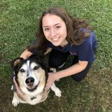 My name is Jordan Calderara, I am a well-experienced owner of animals ranging from dogs and cats to geckos and chameleons.