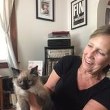 Well Trained House and Plant Sitter for Your Home