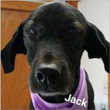 Employing Fairview Park, Ohio Pet Care Provider