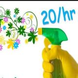 Maid to Shine Cleaning Service In Kawartha Lakes
