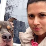 Caring Pet sitter for Your Home
