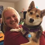 Dedicated Animal Lover in Antioch, Illinois
