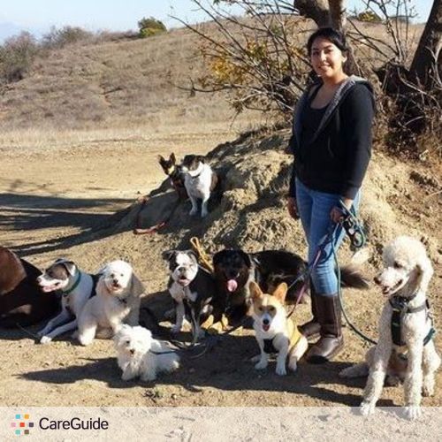 Pet Care Provider Talina R's Profile Picture
