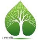 Tree And Lawn Services