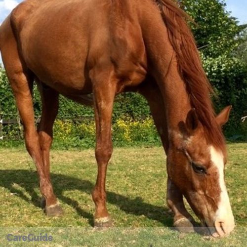 Pet Care Provider McKenna A's Profile Picture