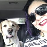 Pet Sitting For Dogs & Cats in Pasadena