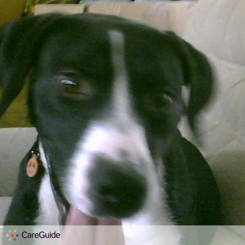Pet Care Provider Rosemary Richendollar-Day's Profile Picture