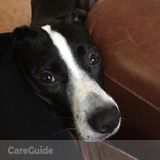 Dogsitter from 9/24 to 10/4
