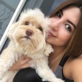 Toronto Pet sitter and dog walker! Ilol take care of your loved one!