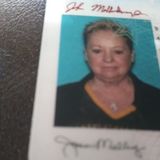 Trustworthy -House Sitting -Love animals- and very Motivated