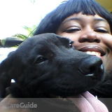 Dogwalker