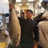 Young Chef Looking To Make Extra Money By Dinner Parties etc.)