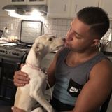 For Hire: Trustworthy Dog Walker in Culver City, California