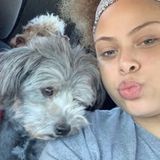 Searching for Antioch Pet Care Provider Opportunity