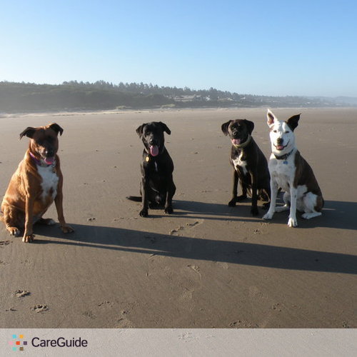 Pet Care Provider Carrie J's Profile Picture