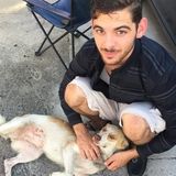 Searching for a Dog Walker Job in Miami, Florida