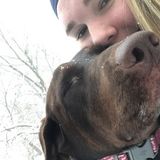 Present Petsitter in Bloomington, Illinois.