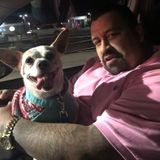 Seeking a House and Pet Sitter Job in Sylmar, California or close by