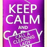 Mother/daughter team ready to give your home a mean clean!