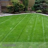 S Landscaping