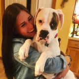 For Hire: Qualified Dog Sitter in Fernandina Beach, Florida