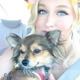 Dog Lover