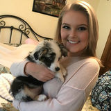 Interviewing For a Dog Sitting Opportunity in Kissimmee