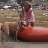 Semi-retired reliable Christian pet/house sitters available on-site only Dec-Jan