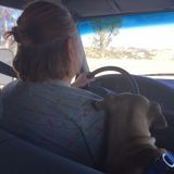 Oxnard Dog Sitting Professional Interested In Being Hired in California