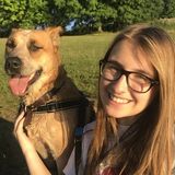 Dedicated Animal Caretaker, in Hanover Pennsylvania and surrounding areas!