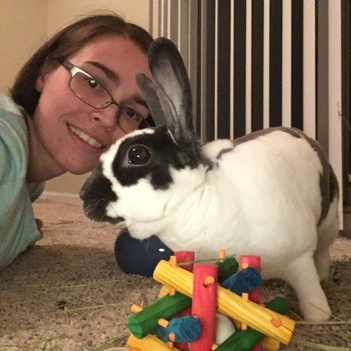 Pet Care Job 's Profile Picture