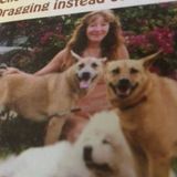 Karen Cares For Canines (LLC)