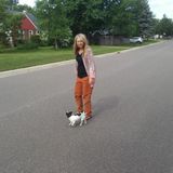 Pet Sitting-All Animals, Doggie Bathroom Breaks and Walking, Over nights for small to medium dogs.