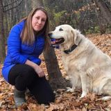 Need a driver for your loved one? Pet visits available as well(Golden Retriever)