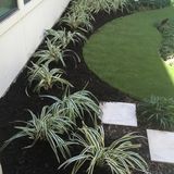 Quality Lawn Care