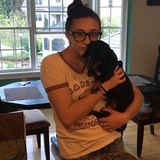 Pet Sitter Seeking Work in Middlesex County area in Massachusetts