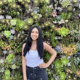 House sitter in Orange,CA. I can do pretty much anything