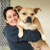 Dog Walking/pet sitting offered in Fort Walton Beach, Mary Esther, Navarre
