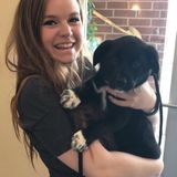 Dog Lover Available to Watch Your Pup