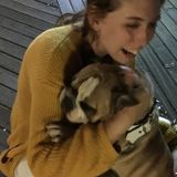 Seasoned Petsitter Available Immediately!