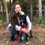 Graduate student offering babysitting services