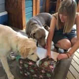 AFFORDABLE Dog care