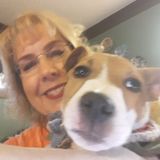 Topeka Pet Sitter Interested In Job Opportunities in Kansas