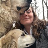 Jackson Dog Walker Searching for Being Hired in Tennessee