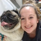 Westminster Pet Care Provider Available For Being Hired in Maryland