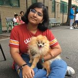 Currently a college student! Also a Forest Hills Pet Walker here to walk and care for all your little furry friends!