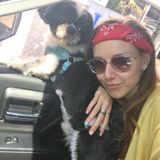 Dog and cat obsessed!